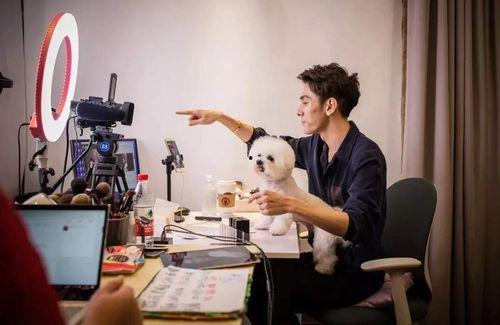 明星网红为啥都爱带货,网红带货热潮背后的明星效应解析