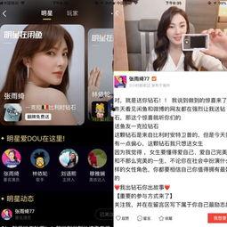 韩国明星网红闲鱼视频,揭秘潮流生活与电商新风尚