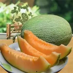 今日西瓜哈密瓜,西瓜与哈密瓜的甜蜜邂逅