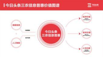 瓜台子村今日头条,探寻乡村发展新路径，共筑美好家园梦