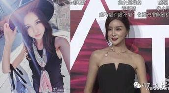娱乐明星网红视频大全集,娱乐明星网红视频大全集精彩瞬间回顾