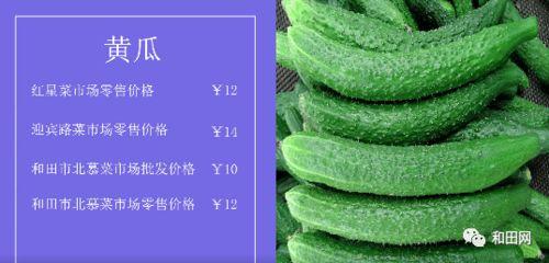 今日菜价吊瓜,今日菜价新篇章