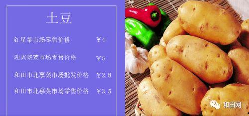 今日菜价吊瓜,今日菜价新篇章
