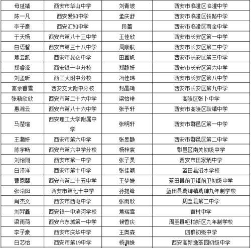 商丘明星网红有哪些名单,璀璨星光下的网络新势力