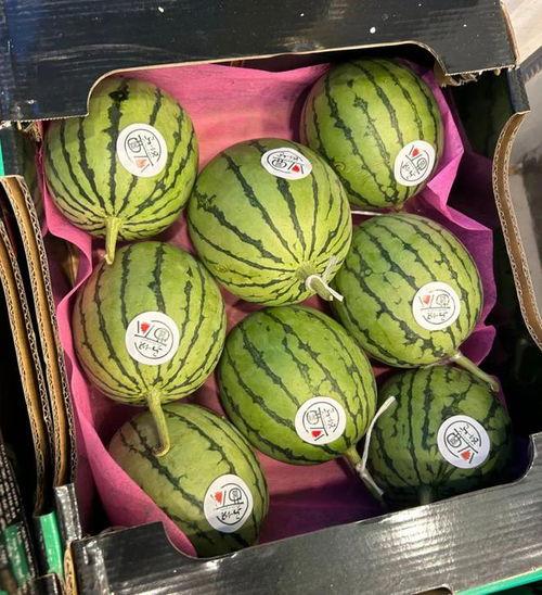 麒麟瓜批发价今日,价格波动及市场分析”