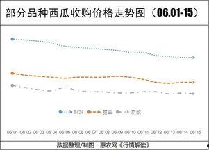 今日高瓜价格行情走势,今日行情走势解析