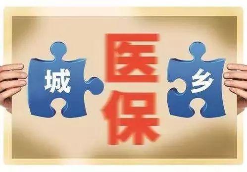 今日麻瓜生活什么意思,揭秘魔法世界外的日常点滴