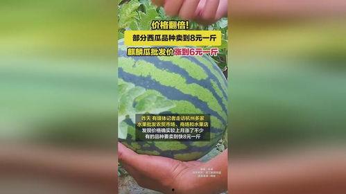 麒麟瓜价格今日行情多少钱,价格波动解析