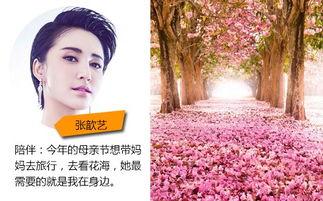 母亲节礼物明星网红,感恩母亲——母亲节礼物明星网红推荐大盘点”