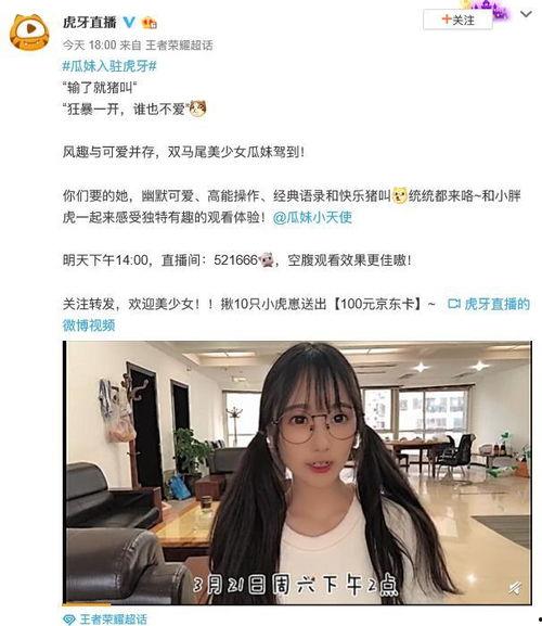 瓜妹今日访谈,幕后故事与心路历程