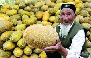 郑州万邦哈密瓜今日报价,价格行情一览