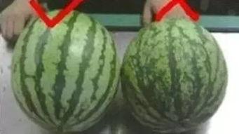 今日吃瓜收获的一张图,一张图带你领略明星幕后故事