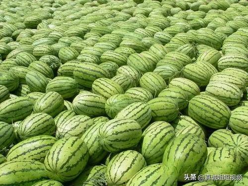 五一吃瓜今日大瓜热门大瓜,吃瓜群众热议年度大瓜盘点
