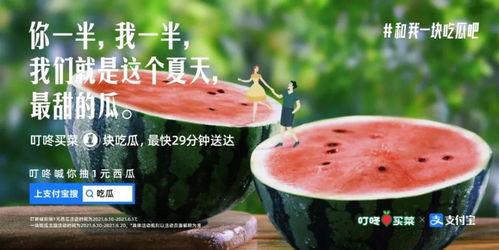 今日文案吃瓜有感,揭秘娱乐圈背后的故事
