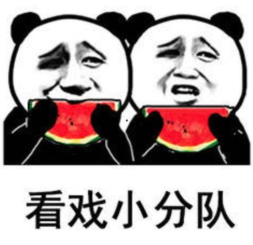 今日晴宜吃瓜壁纸动态,今日宜吃瓜壁纸动态，尽享夏日清凉时光