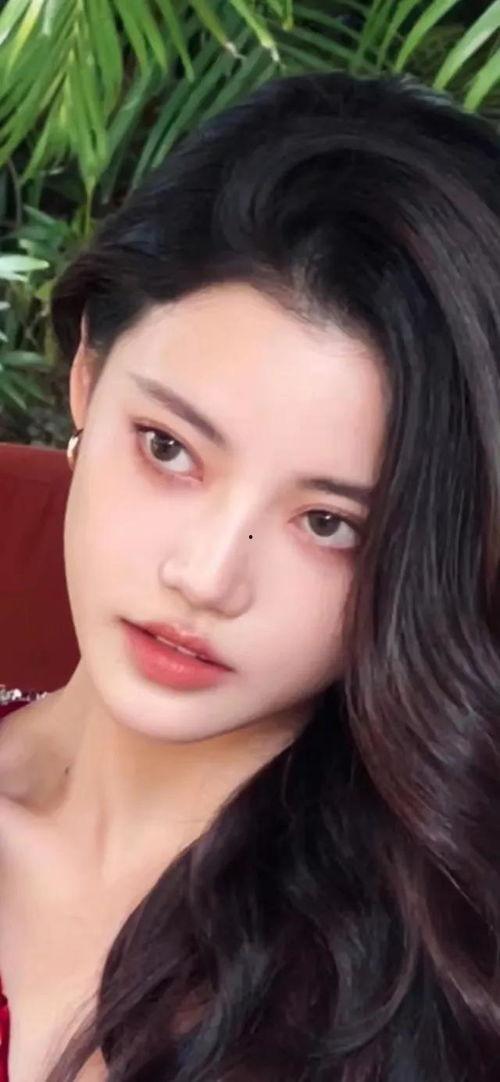 女明星网红素人照片,揭秘明星与素人的异同
