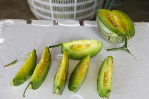玉菇蜜瓜今日价格表,新鲜甜蜜，品质之选