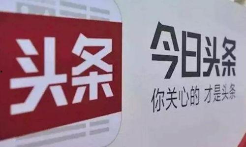 瓜州马桥新闻今日头条,聚焦乡村振兴，共话发展新篇章