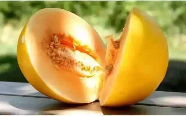 蜜瓜新闻今日,新鲜资讯，尽在今日蜜瓜焦点