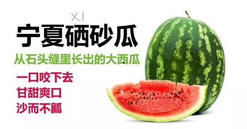 宁夏硒砂瓜今日最新报价,今日最新报价揭晓，品质与价格齐飞！”