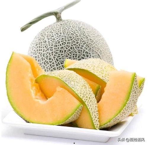 嘉兴批发市场哈密瓜今日销量,今日再创新高