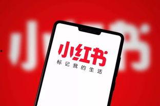 明星网红小红书群聊名称,揭秘明星网红小红书群聊背后的秘密
