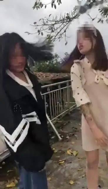 明星网红偷衣服被抓,明星网红涉嫌盗窃衣物被警方抓获