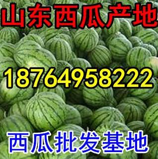 南京今日瓜价,夏日炎炎，瓜果飘香，价格行情一览