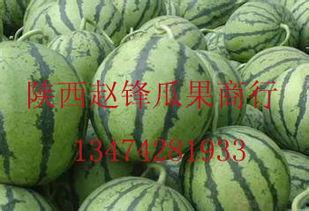 脆瓜今日价格行情最新走势,最新行情走势解析