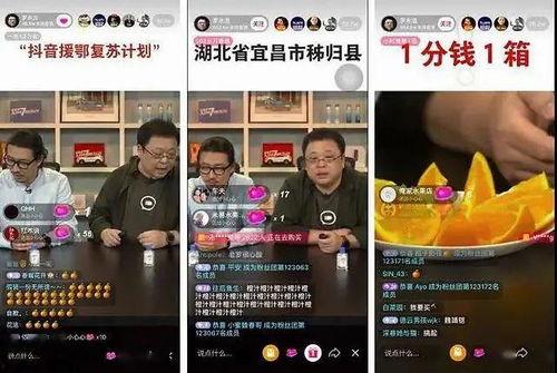 今日份吃瓜直播回放,精彩瞬间回顾，揭秘幕后故事