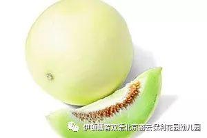 今日白兰瓜价格,市场波动下的甜蜜诱惑