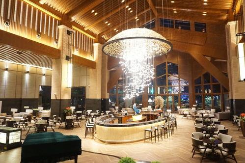 惠州有什么明星网红店铺,打卡惠州，邂逅明星同款美食与潮流圣地