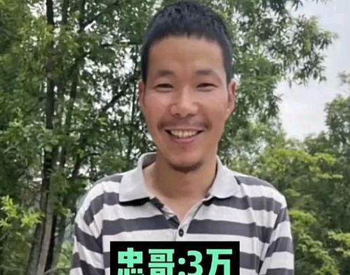 给河北捐款的明星网红,河北捐款行动中的明星网红力量”