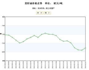 荷兰瓜今日价格行情走势,今日行情走势解析