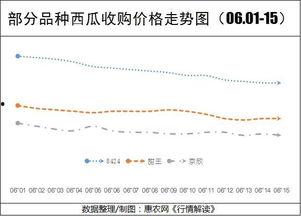 荷兰瓜今日价格行情走势,今日行情走势解析