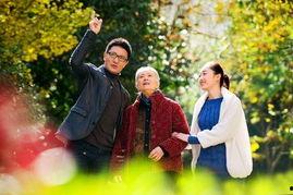 生死相依电视剧,命运交织的深情演绎