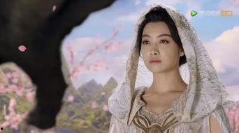 哪些明星网红去过泰山了,泰山打卡明星网红大盘点