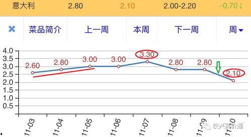 云南扁瓜今日价格走势分析,今日走势揭秘