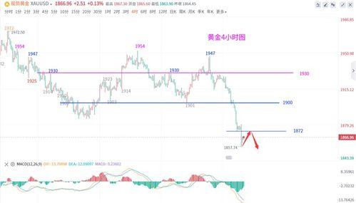 云南扁瓜今日价格走势分析,今日走势揭秘
