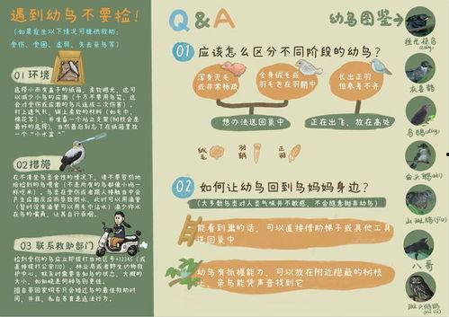 今日大瓜每日大赛往期内容张,精彩瞬间回顾