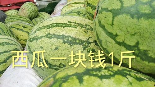 今日三亚瓜价多少钱一斤,今日瓜市行情一览