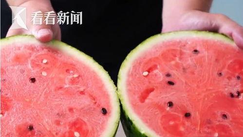 今日三亚瓜价多少钱一斤,今日瓜市行情一览
