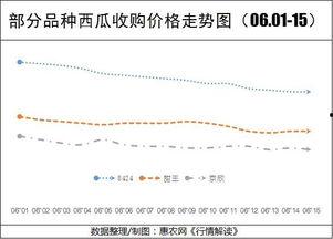 姜丙瓜价格今日报价走势,市场行情实时解析