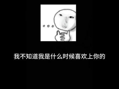 满分呆瓜今日头条,揭秘今日头条背后的趣味与智慧
