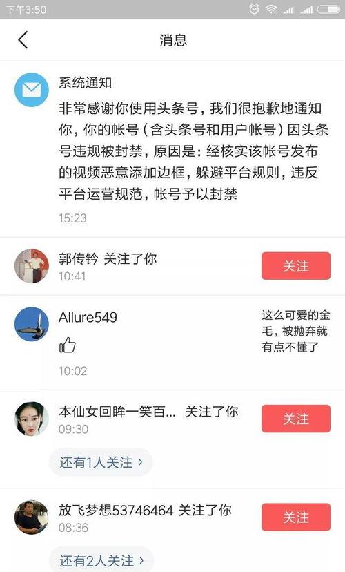 满分呆瓜今日头条,揭秘今日头条背后的趣味与智慧