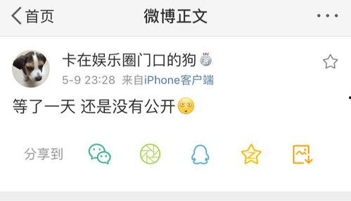 今日吃瓜呱呱爆料网站最新,吃瓜呱呱曝惊天大瓜，揭秘娱乐圈幕后真相