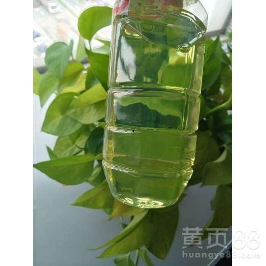 今日湛江蒲瓜价格多少钱,行情动态一览”