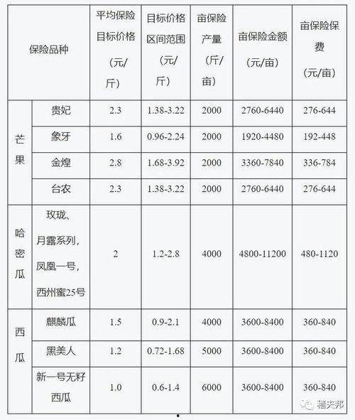 海南三亚哈密瓜今日价格,价格行情一览”