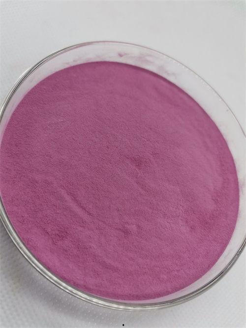 山东今日哈密瓜价格,新鲜上市，实惠之选