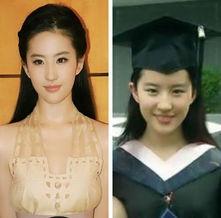 各明星网红图片大全集,明星网红风采集锦